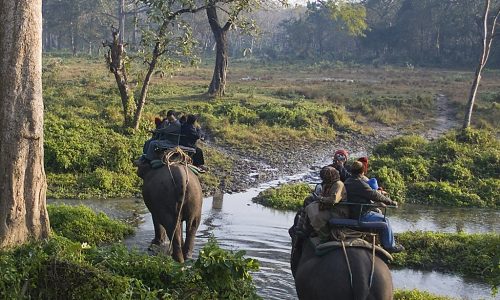 Elephant_safari