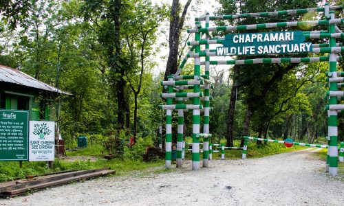 chapramari-forest-head-1